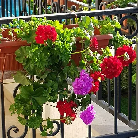 Boulevard Sea 4* Sunny Beach