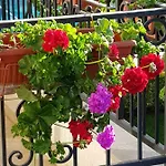 Boulevard Sea 3* Sunny Beach